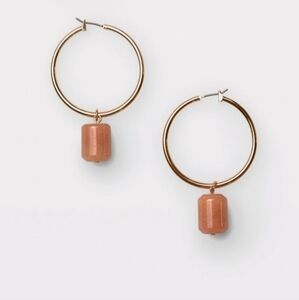 Club Monaco earrings